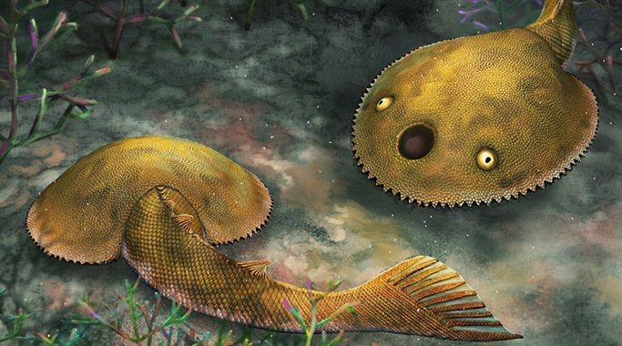 九尾狐甲鱼生态复原